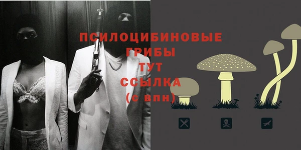 эйфоретик Елизово