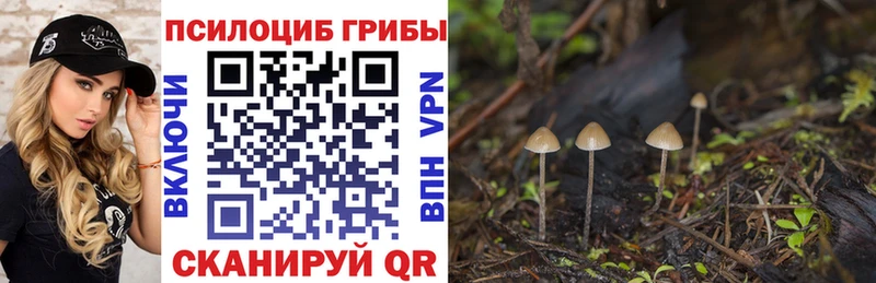 Псилоцибиновые грибы Psilocybine cubensis  купить наркотик  Зея 
